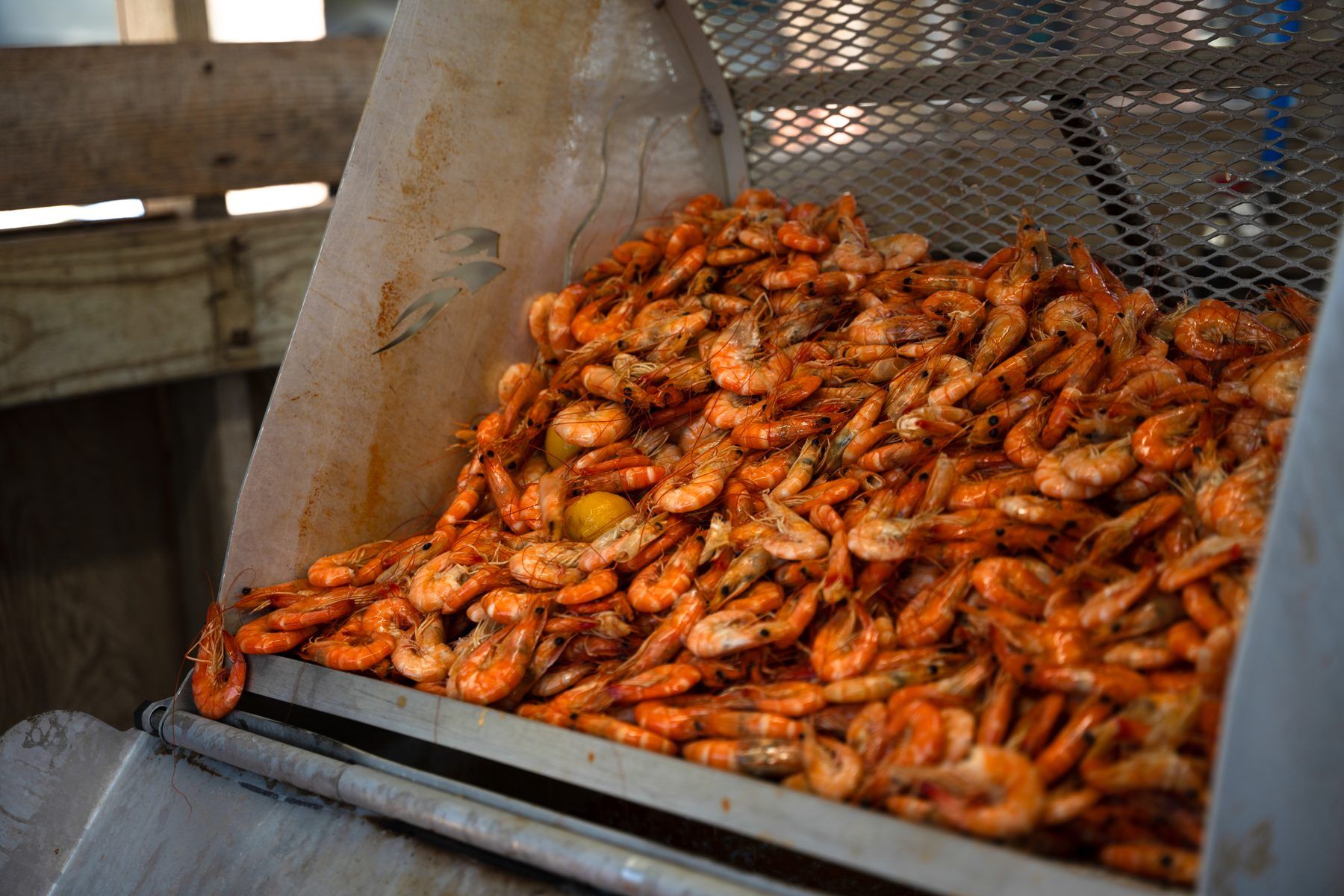 Cajun dinner at the lodge